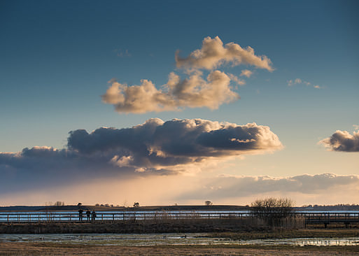 Early spring on Hornborgasjön